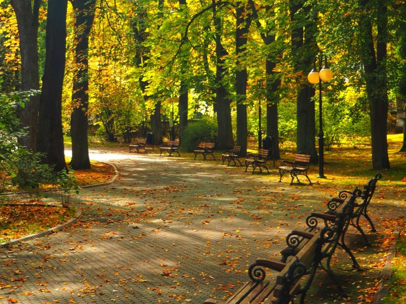 Park Zdrojowy