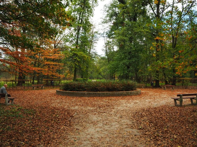 Kolejny park ale jesień nadal ta sama