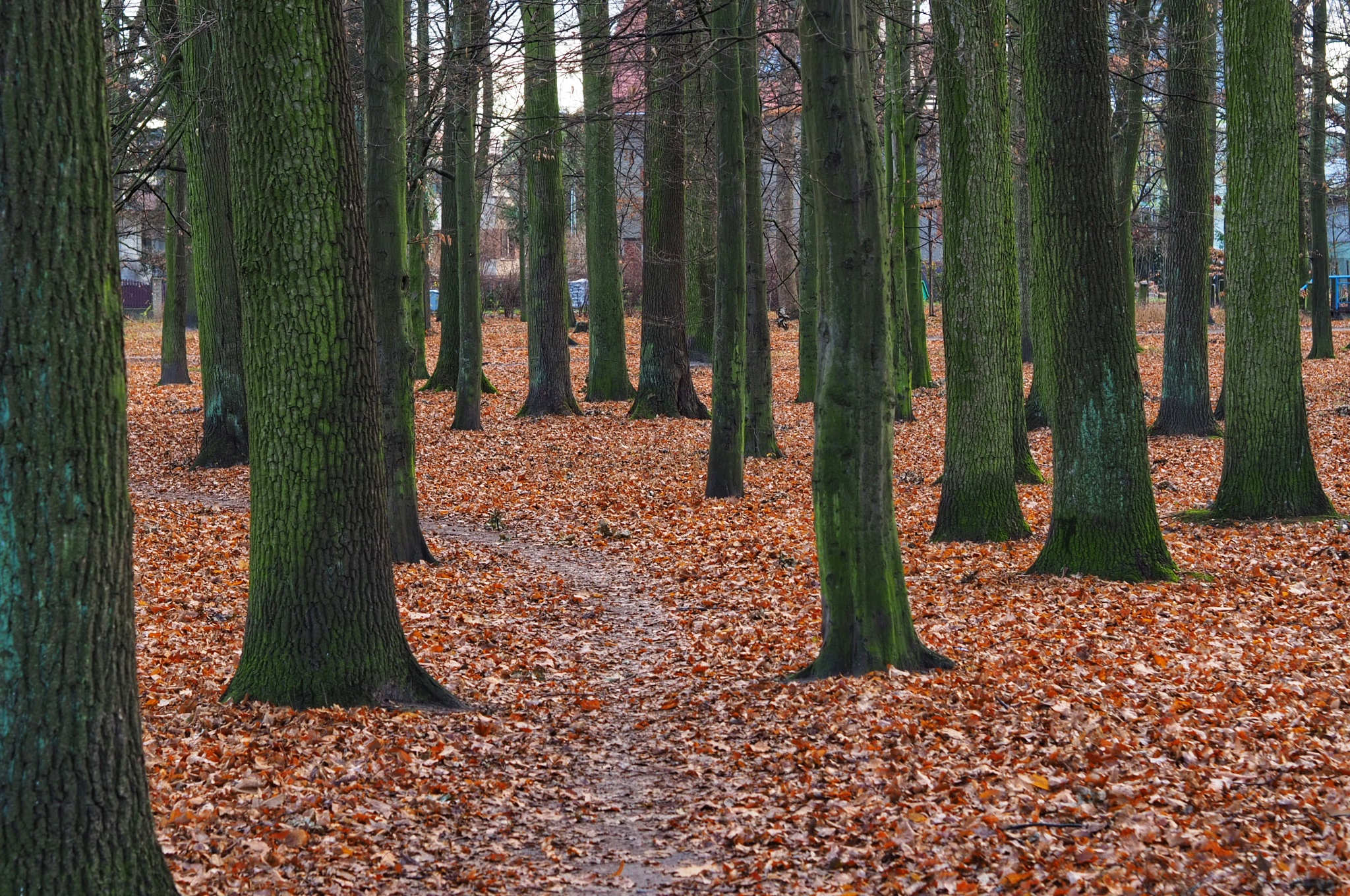 Jesień – reaktywacja