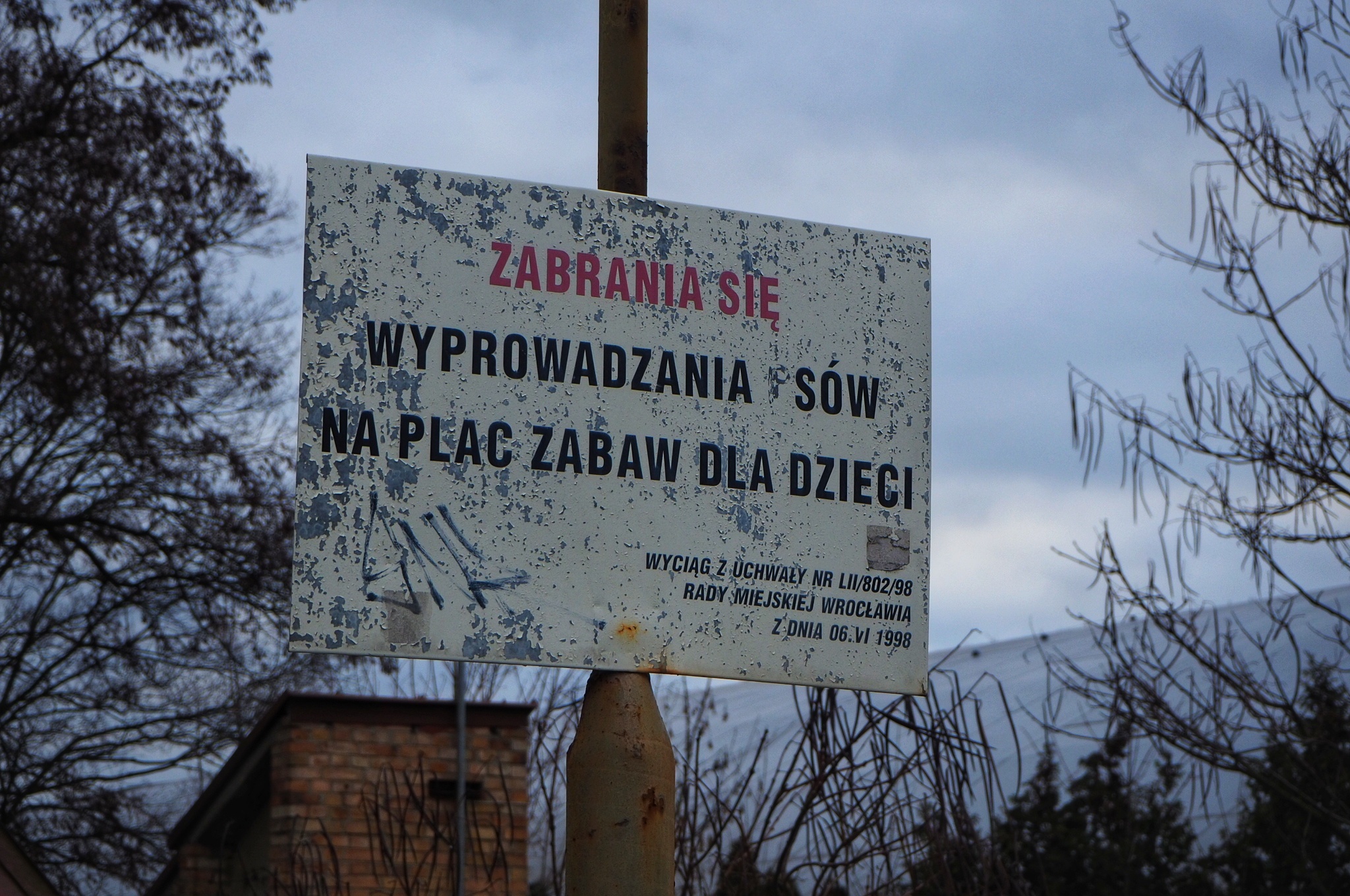 Biedne sowy
