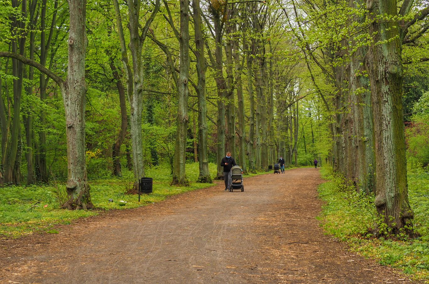Walk in the park